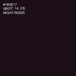 #1B0E17 - Night Rider Color Image